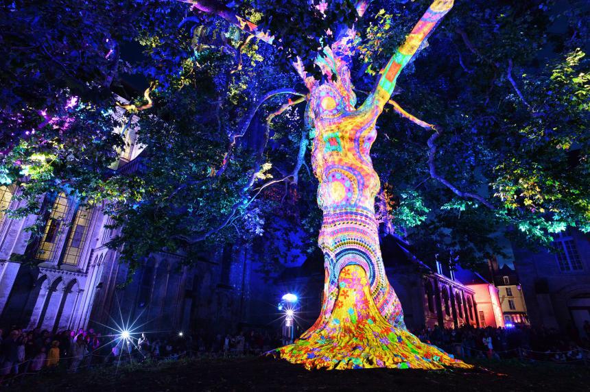 Spectacle son&Lumière Bayeux-arbre de la liberté